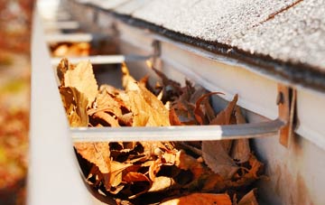Tulse Hill gutter cleaning companies