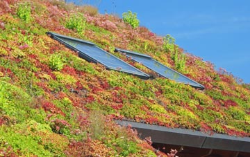 Tulse Hill living roof systems