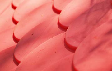 Tulse Hill plastic roof costs