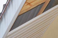 rated Tulse Hill soffit repair companies